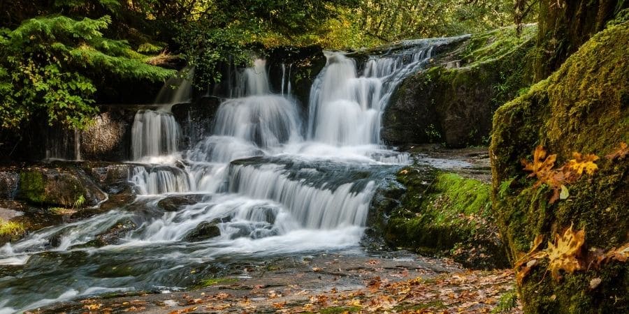 alsea falls oregon