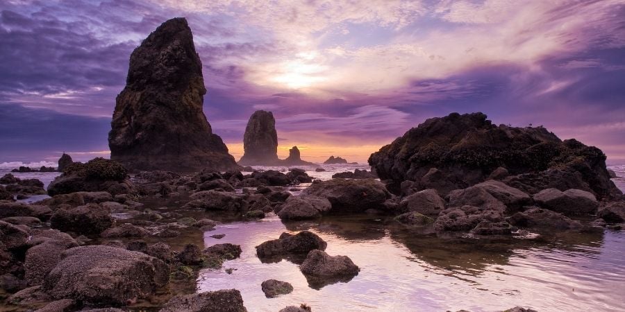 The Best Beaches in Oregon